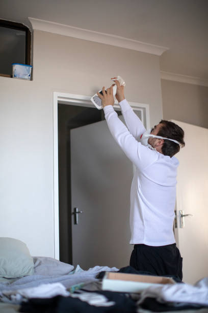 Best Environmental Consulting for Mold Prevention  in Silverdale, WA