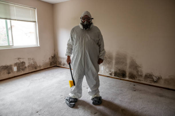 Best Forensic Mold Investigation  in Silverdale, WA